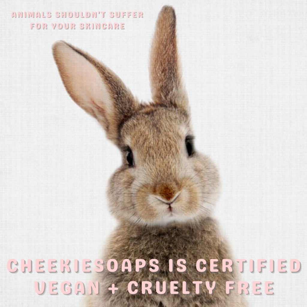 Vegan + Cruelty Free Skincare