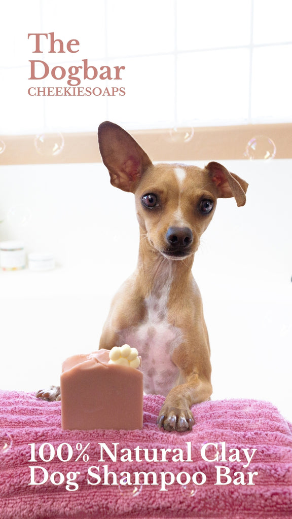 The Dogbar Dog Shampoo Bar